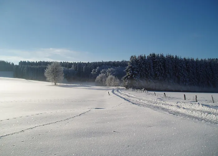 Lejlighed Auf Dem Schoenen Felde Brilon